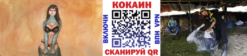 наркошоп  Усть-Лабинск  Кокаин 97% 