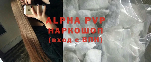 трава Белокуриха