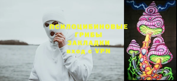 прущие крисы Балахна