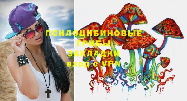 прущие крисы Балахна