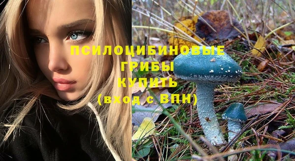 трава Белокуриха