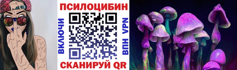 МЕГА ССЫЛКА  Усть-Лабинск  Псилоцибиновые грибы Magic Shrooms  купить закладку 