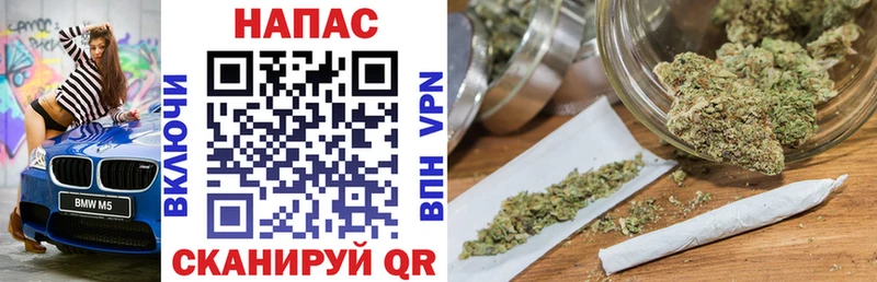 купить цена Усть-Лабинск Конопля сатива
